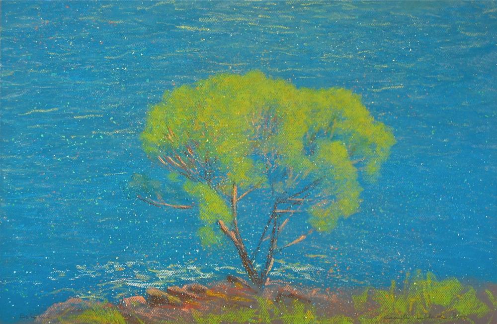 Camille Leblond » pastels » Estérel