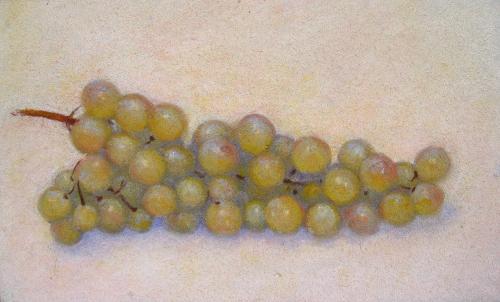 Camille Leblond » pastels » Grappe