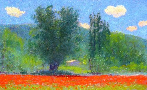 Camille Leblond » pastels » Coquelicots à Vaison II