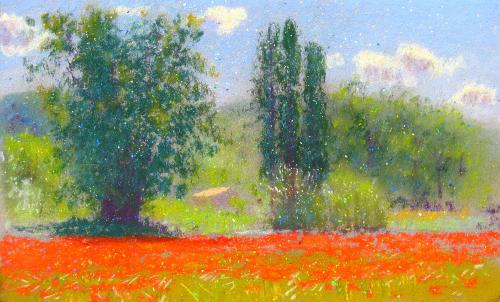 Camille Leblond » pastels » Coquelicots à Vaison I