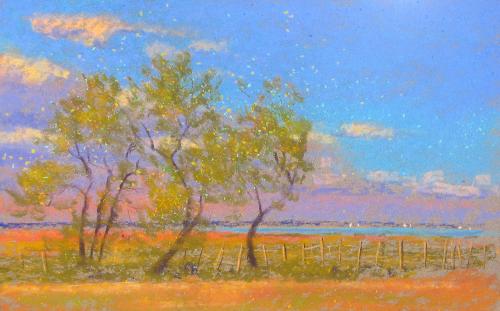 Camille Leblond » pastels » Parc de Camargue